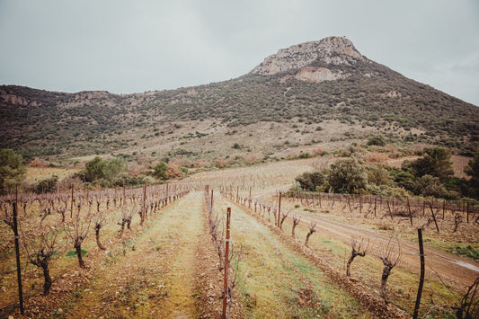 The goat, the grenache and the snow in the south